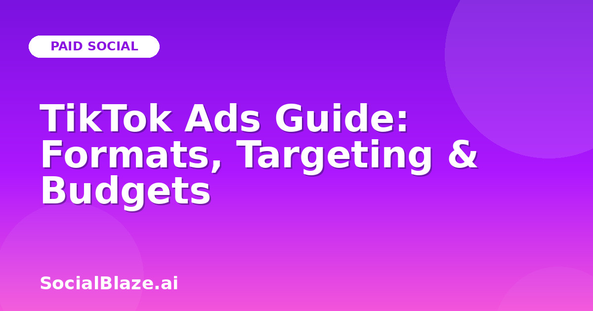 TikTok Ads Guide: Formats, Targeting & Budgets