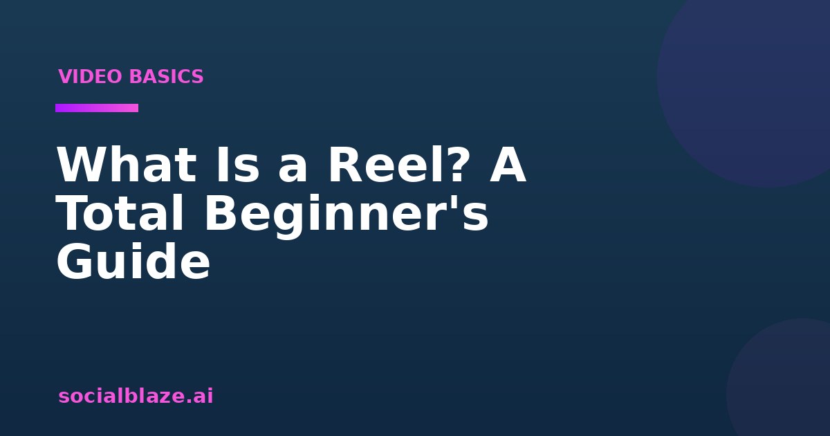 What Is a Reel? A Total Beginner's Guide