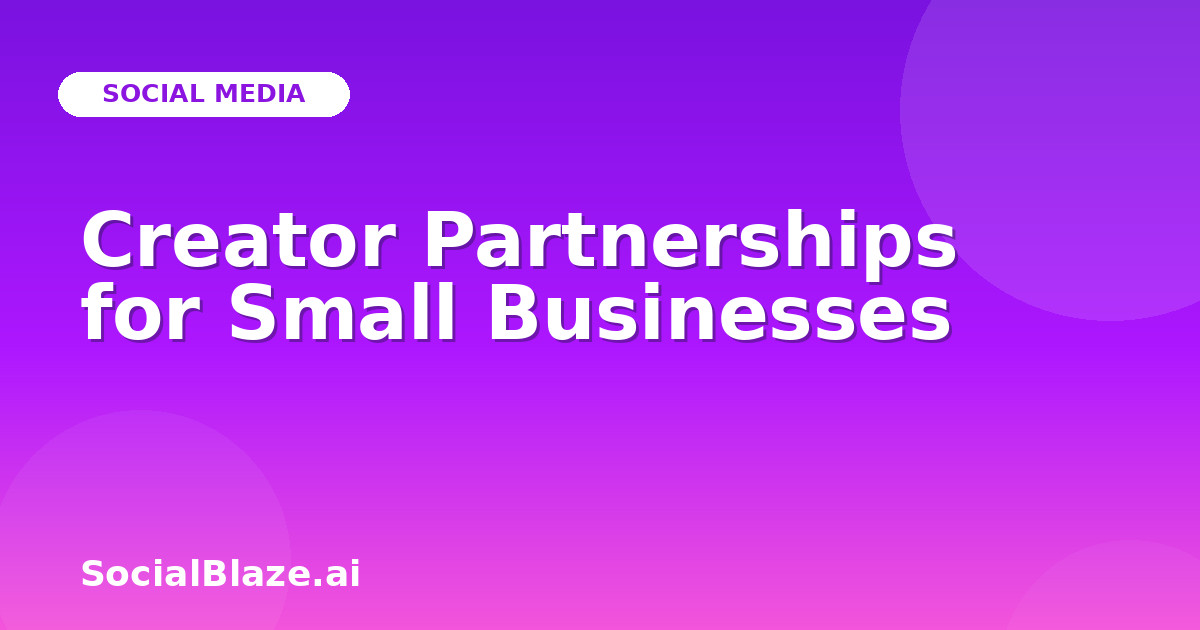 Creator Partnerships for Small Businesses