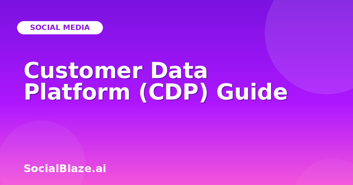 Customer Data Platform (CDP) Guide