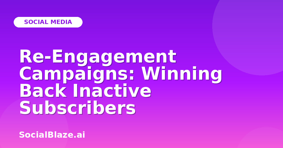 Re-Engagement Campaigns: Winning Back Inactive Subscribers