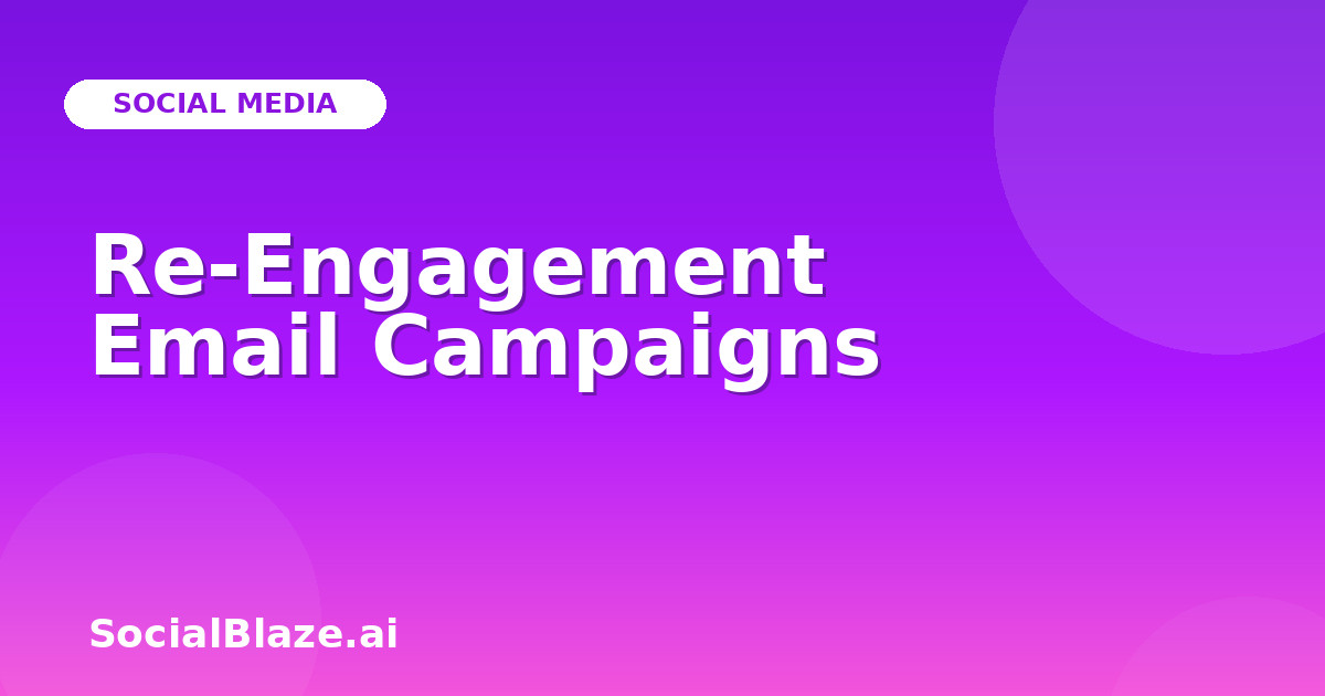 Re-Engagement Email Campaigns